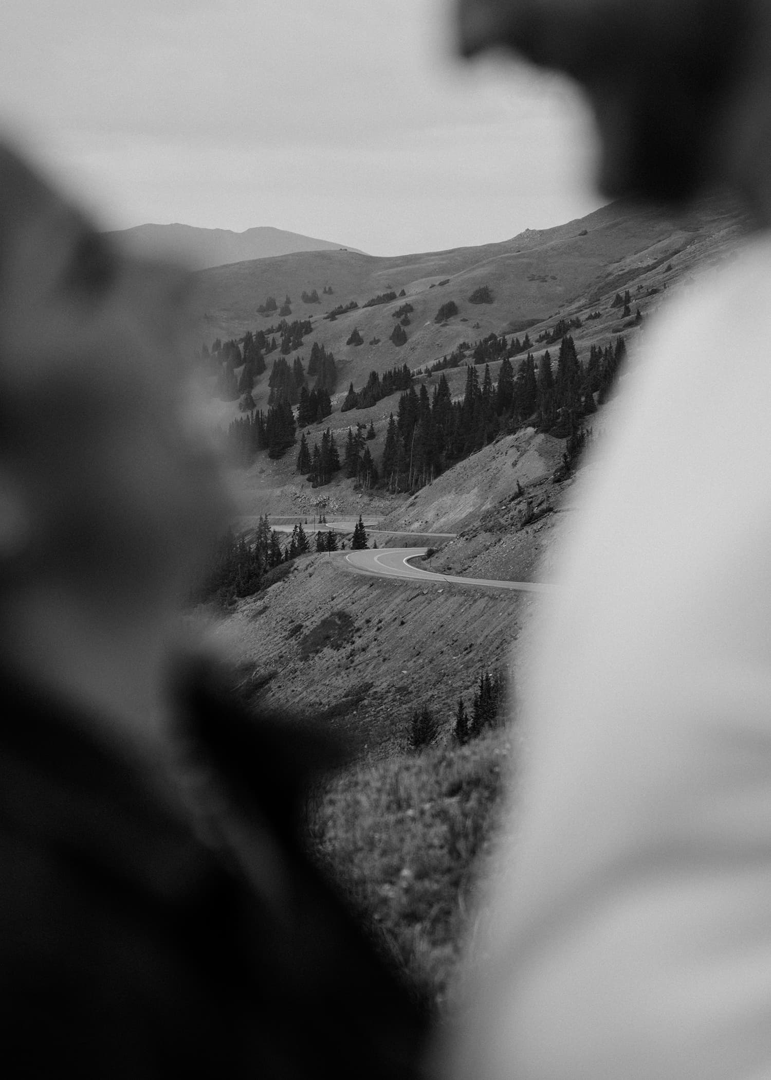 Wedding photo DSC01825